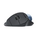 Sans fil souris Logitech ERGO M575 for Business 910-006221