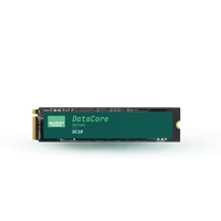 Disque dur SSD Goodram DC10M 480GB M.2 22110 NVMe PCIe 4.0 | GEDC10M100-480NS10B