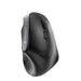 Sans fil souris Cherry MW 4500 JW-4500