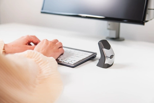 Sans fil souris Bakker Elkuizen DXT Precision Mouse Wireless BNEDXTW