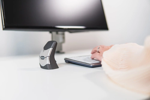 Sans fil souris Bakker Elkuizen DXT Precision Mouse Wireless BNEDXTW