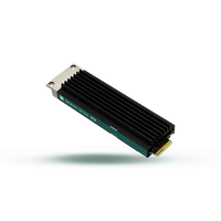 Disque dur SSD Goodram DC10M 3.84TB E1.S NVMe PCIe 4.0 | GEDC10S100-3T8NS10B