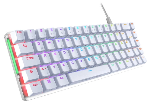 Clavier Câblés Asus ROG Falchion Ace WHT QWERTZ