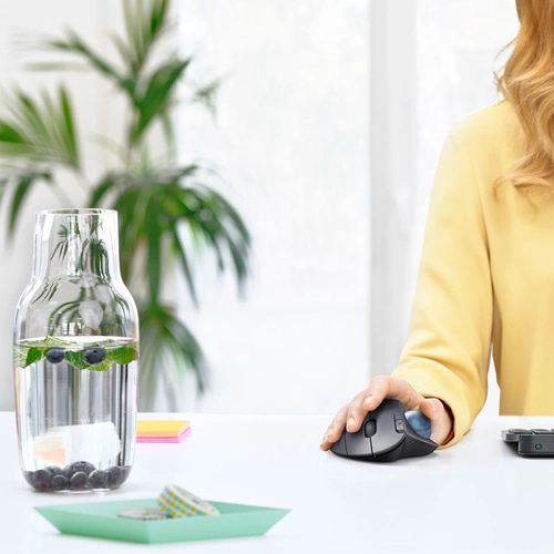 Sans fil souris Logitech Ergo M575 910-005872