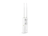 Point d'accès TP-LINK EAP110-Outdoor 2.4 GHz 802.11 b/g/n