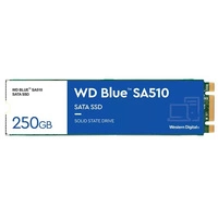 Disque dur SSD Western Digital WD Blue SA510 250GB M.2 2280 TLC | WDS250G3B0B