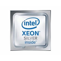 Processeur Intel Argent 4510 (30MB, 12x 4.1GHz) PK8071305554300