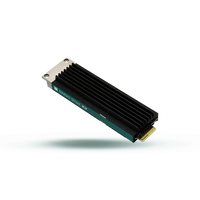Disque dur SSD Goodram DC10M 480GB E1.S NVMe PCIe 4.0 | GEDC10S100-480NS10B