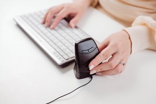 Sans fil souris Bakker Elkuizen DXT 3 BNEDXT3W