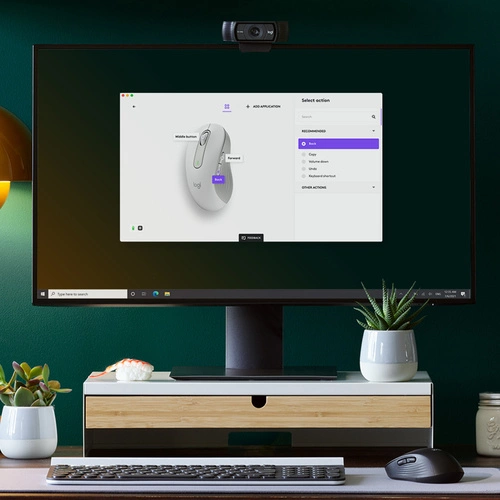 Sans fil souris Logitech Signature M650 910-006240